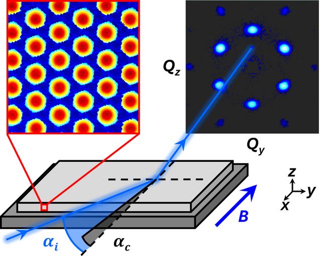 [Figure 1]