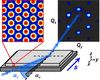 [Figure 1]