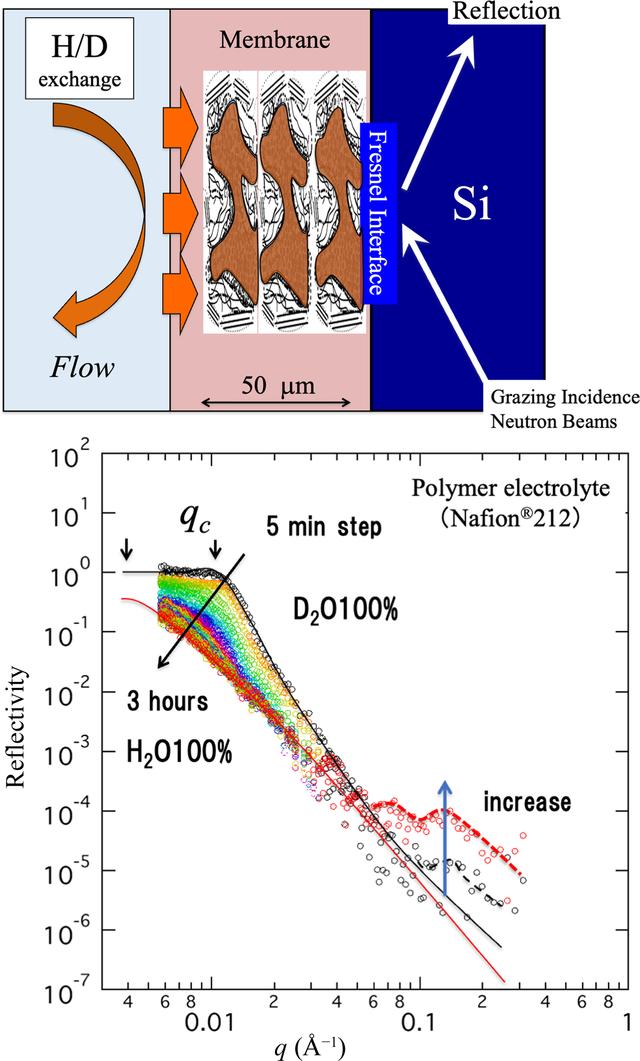 [Figure 11]