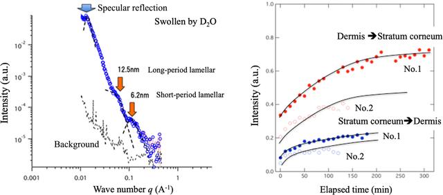 [Figure 12]