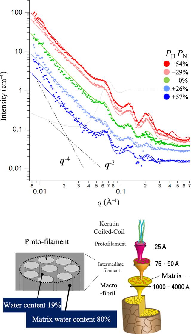 [Figure 4]