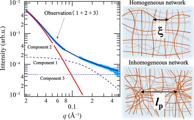 [Figure 6]