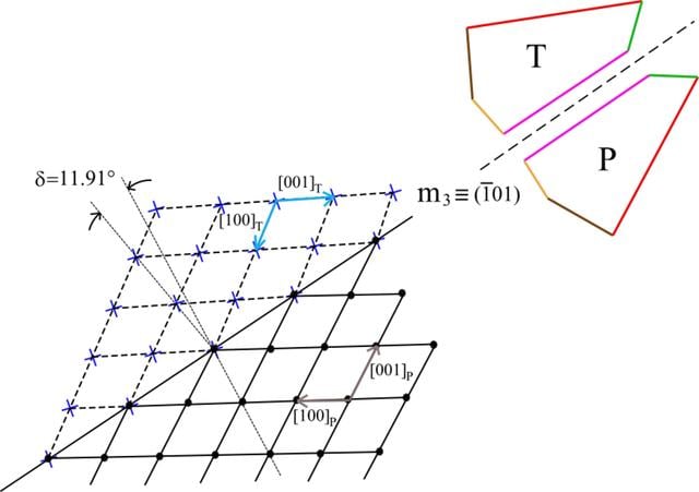 [Figure 6]