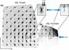 [Figure 3]