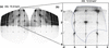 [Figure 4]