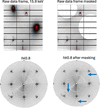 [Figure 6]