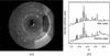 [Figure 15]