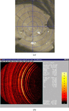 [Figure 18]