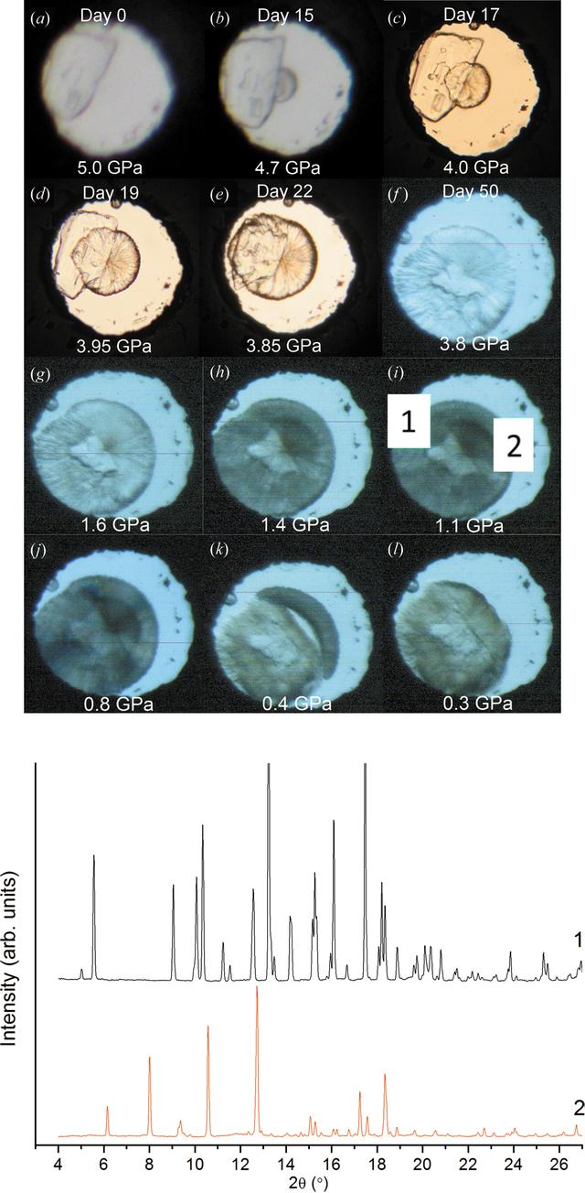 [Figure 20]