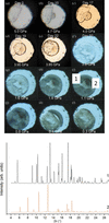 [Figure 20]