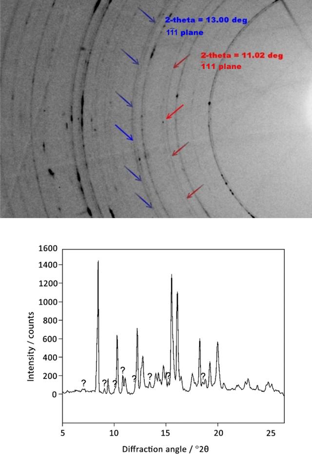 [Figure 21]