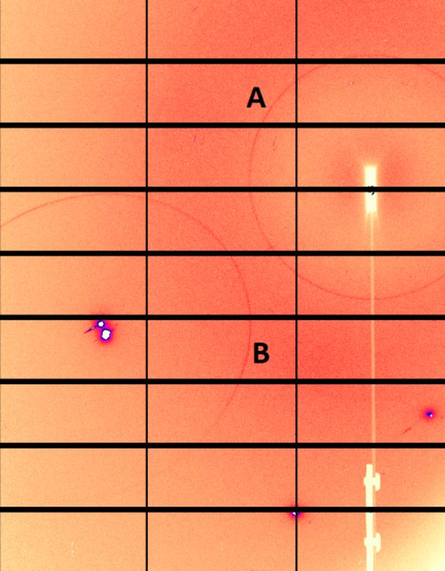 [Figure 6]