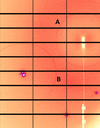 [Figure 6]