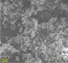 [Figure 1]