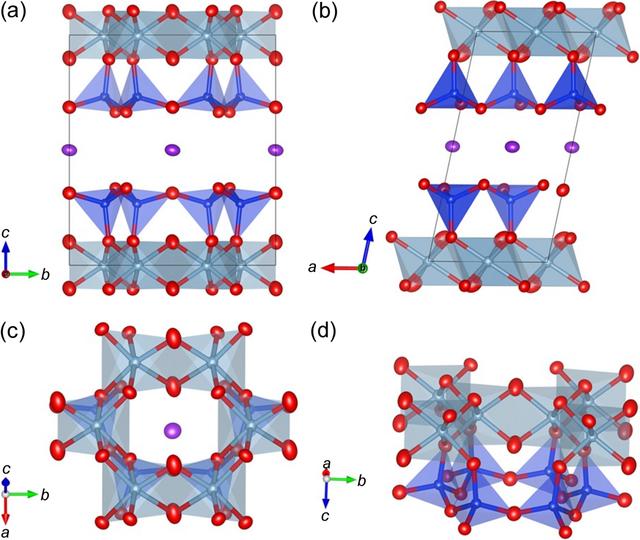 [Figure 4]