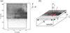 [Figure 1]