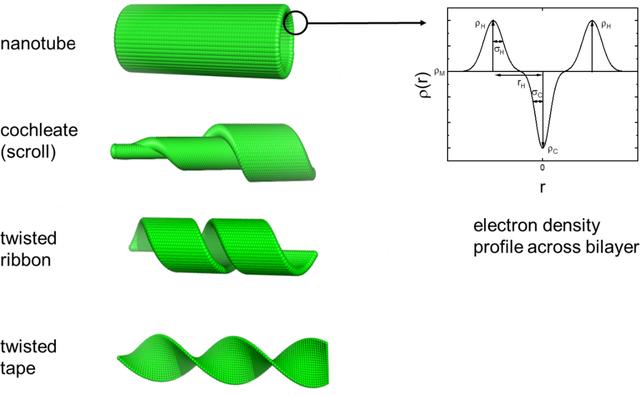 [Figure 1]