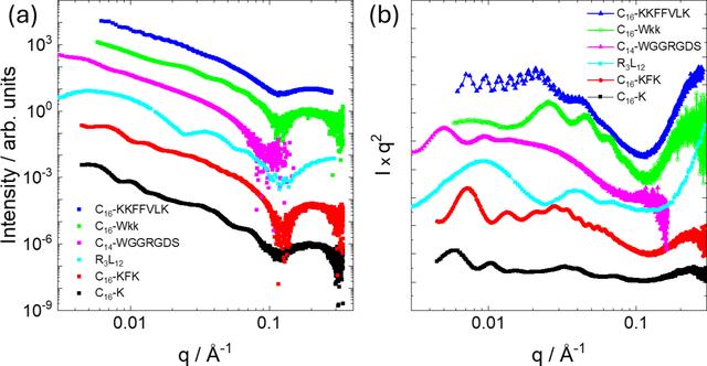 [Figure 2]