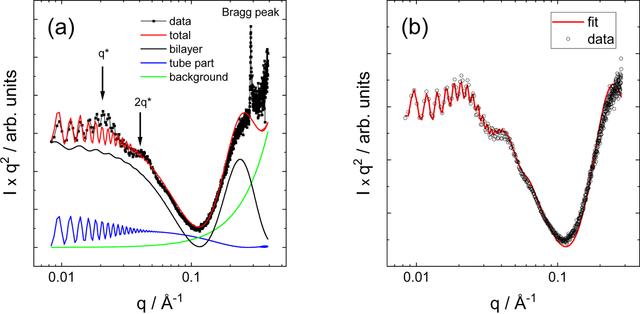 [Figure 3]