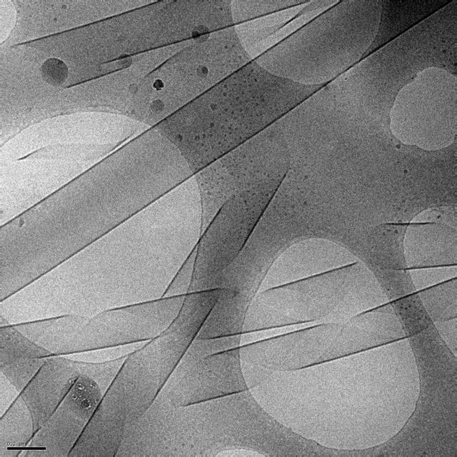 [Figure 4]
