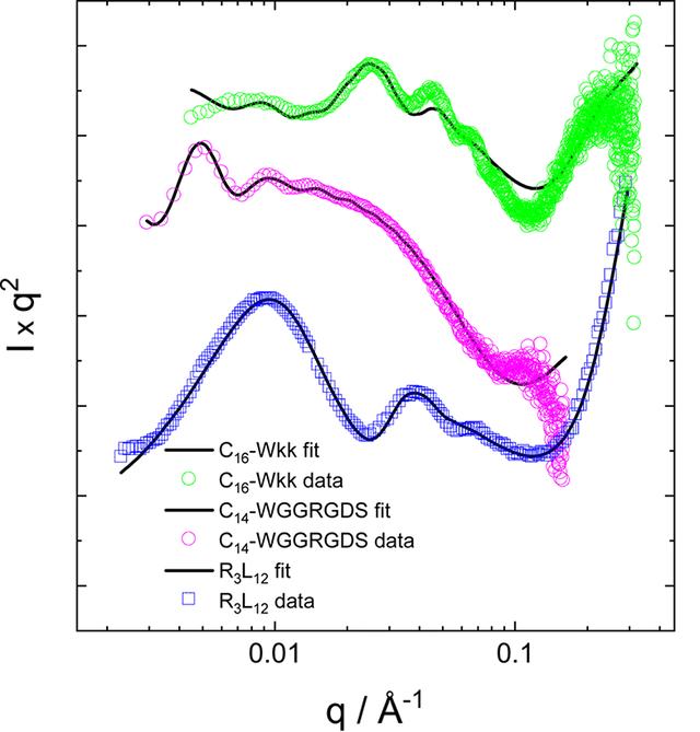 [Figure 5]