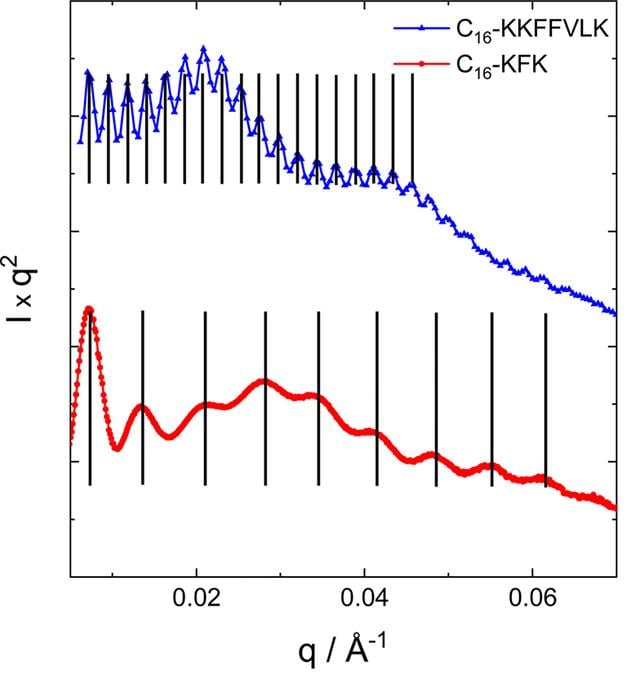 [Figure 6]