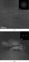 [Figure 10]