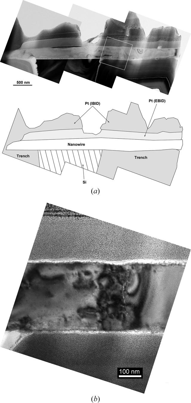 [Figure 7]
