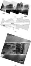 [Figure 7]