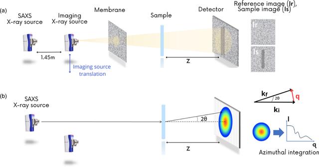 [Figure 1]