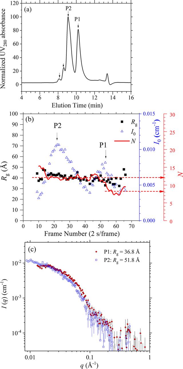 [Figure 5]