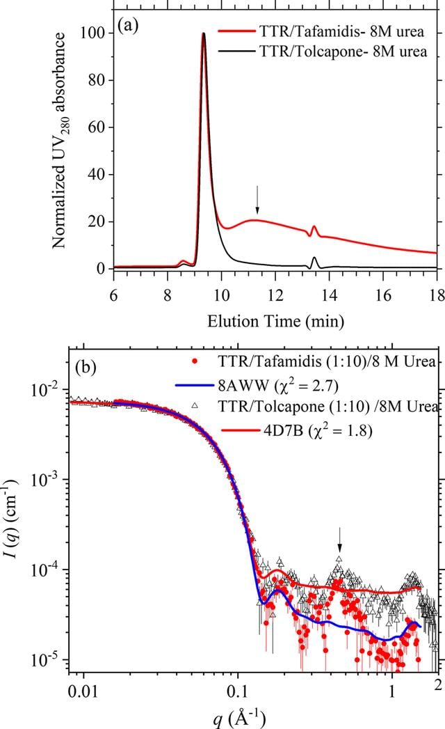 [Figure 6]