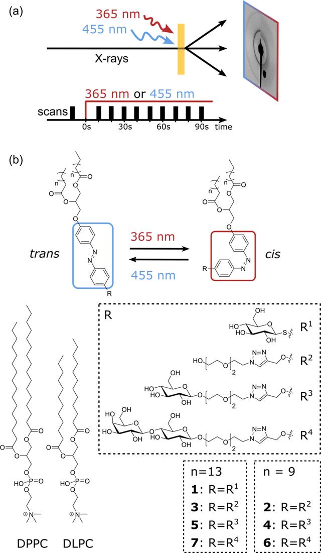 [Figure 1]