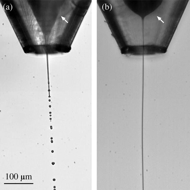 [Figure 2]