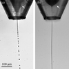 [Figure 2]