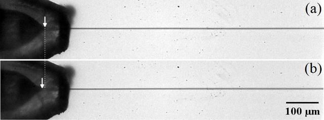 [Figure 9]