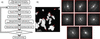 [Figure 1]
