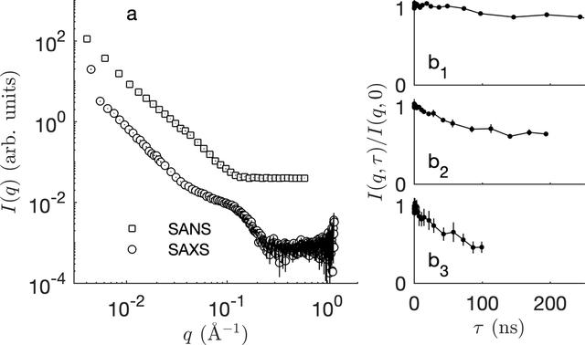 [Figure 1]