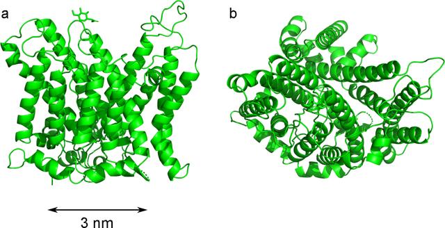 [Figure 5]