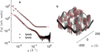 [Figure 7]