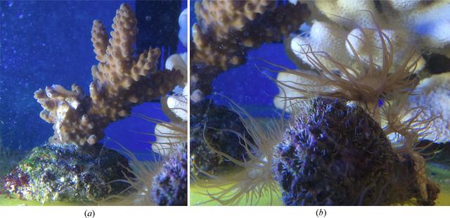 [Figure 1]