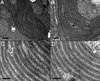 [Figure 2]