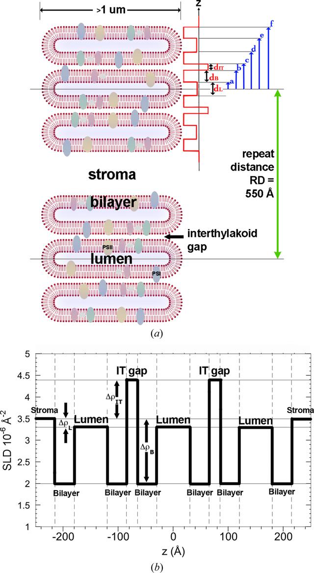 [Figure 4]