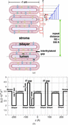 [Figure 4]
