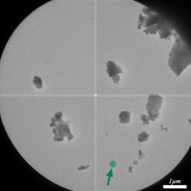 [Figure 11]