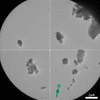 [Figure 11]
