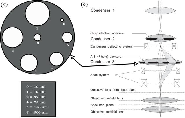 [Figure 4]