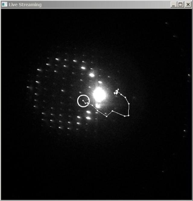 [Figure 6]