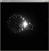[Figure 6]