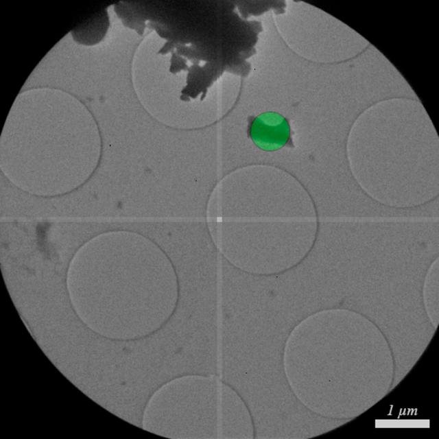 [Figure 9]
